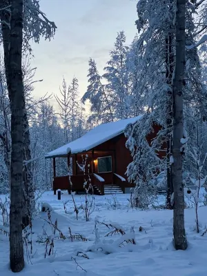 Trail House, Denali Brewing, Base Camp for Adventure, Concerts, Fire Pit, Family