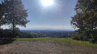 Schöne 3 Zi-whg, Natur-stadtnah, 20min von Europapark Entfernt Hotels near Heilig Geist Kirche