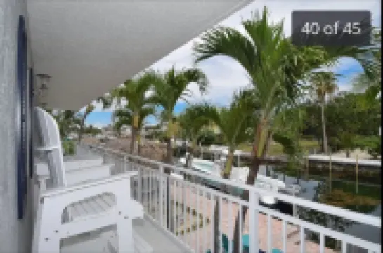 To Paradise Book our website fishing & excursions bigdavechartersandtours.com