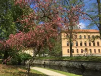 Charming old town apartment