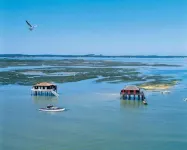 Gîte au Milieu du Vignoble de Loupiac Hotel a Aquitaine