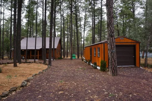 Family Cabin in the Pines. All Wood! Charming memory-maker.