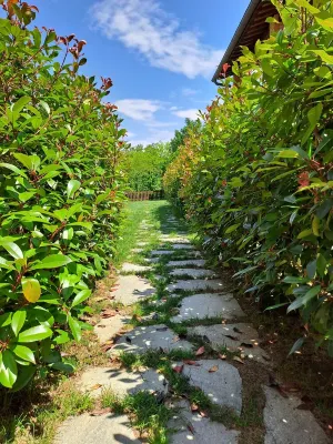 Apartment in farmhouse with swimming pool