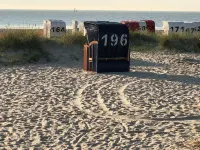 Your special North Sea holiday in Minsen holiday apartment shell