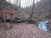 3BR, 2 Bath Cabin with full kitchen, living room, hot tub and spacious backyard.