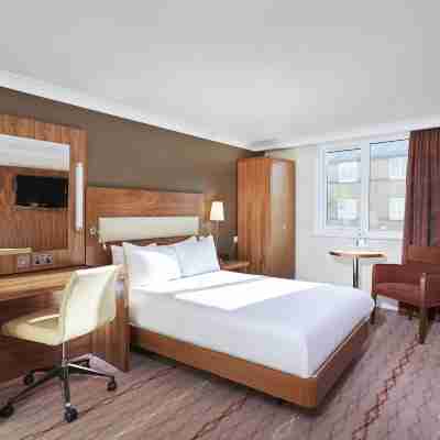 北布里斯托希爾頓逸林飯店 Rooms