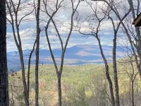 Chic Boho Cabin in the Trees!