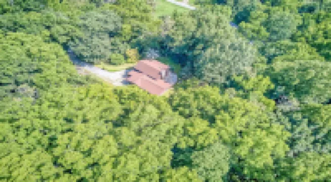 Wooded Seclusion on 3 Acres - Big Rock Cabin