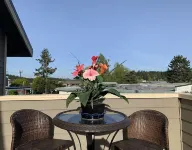 Warm and Bright in the Heart of Downtown Friday Harbor فنادق في فرايدي هاربور