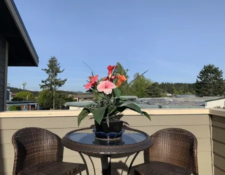 Warm and Bright in the Heart of Downtown Friday Harbor