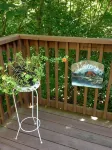 Woodland secluded cabin on 7 acres, with private dock and kayaks