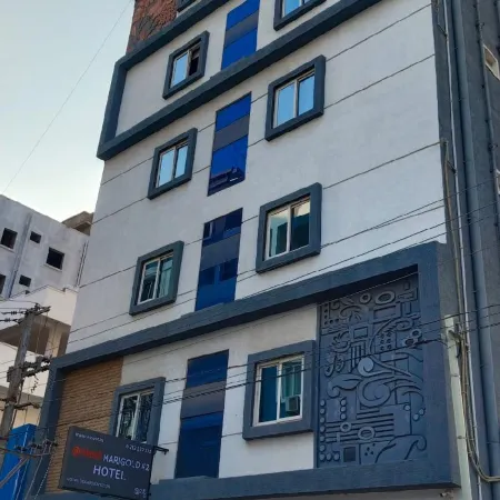 Hotel Marigold Kokapet- A Business Hotel Отели рядом с достопримечательностью «Оушен Парк»