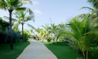 Hoa Binh - Rach Gia Resort