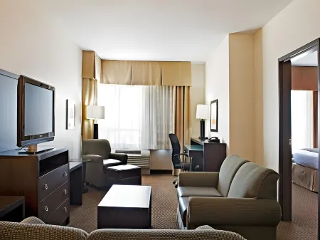 Holiday Inn DFW Airport South