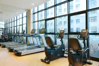 Dominiclava Sokco - Gym