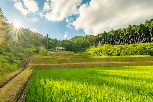 NIPPONIA Shitsukawa Sky Farm Hotels in Kyotamba