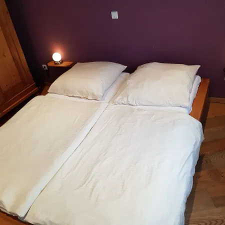 Apartment -Vogelflug- in the house at the pond pet friendly and cozy