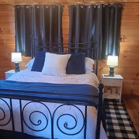 Cozy cabin with views of Lake Erie and colorful sunsets!