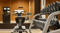 Hilton Garden Inn Houston/Galleria Area - Gym