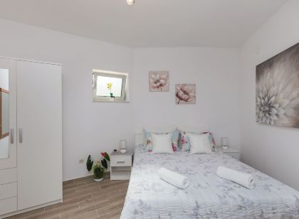 布拉澤維奇公寓