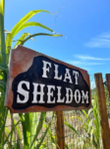 Flat.Sheldom