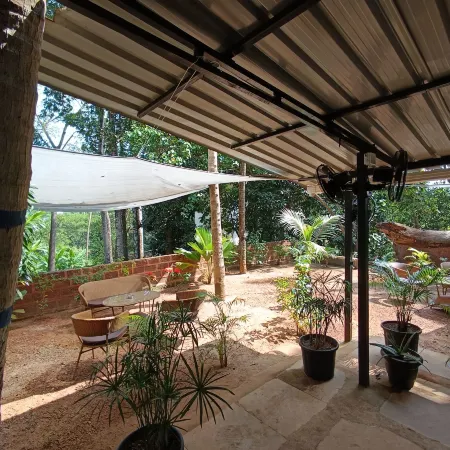 Jangala Resort