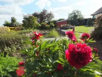 Mortimer Trail B and B