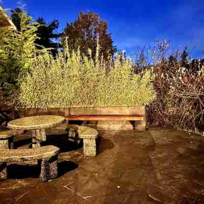 Private Oceanfront Cabin with Hot Tub - Doc Holiday Cabin Hotel Exterior
