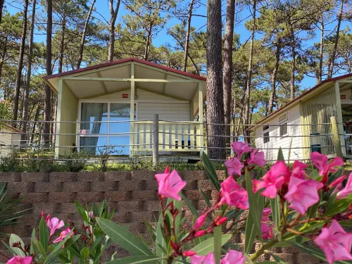 Parque de Campismo Orbitur Valado Hotels in Nazare