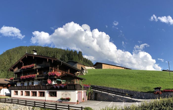 Bergwald Appartements Alpbach