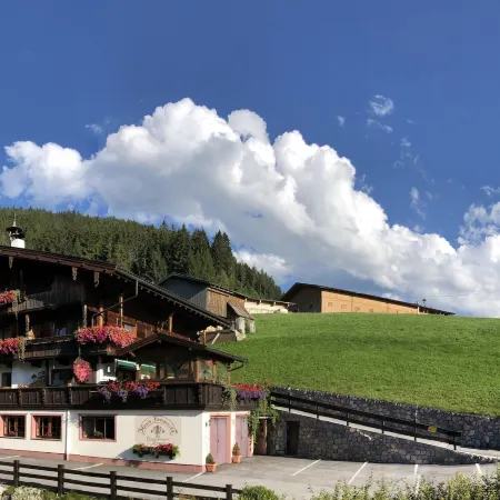 Bergwald Appartements Alpbach