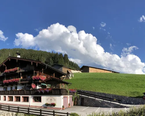 Bergwald Appartements Alpbach Hotels in Alpbach