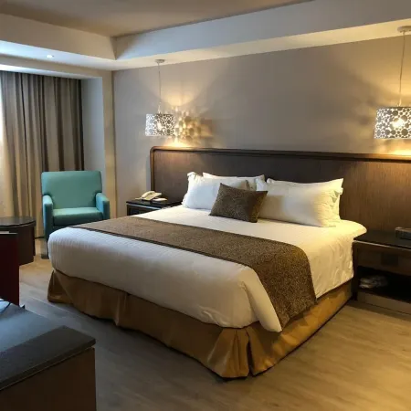 Hotel Metropol