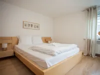 Modernes Appartement Neben Einem Skigebiet
