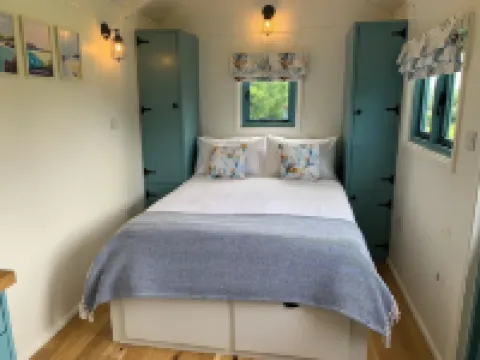 세인트 큐 셰퍼드 허츠