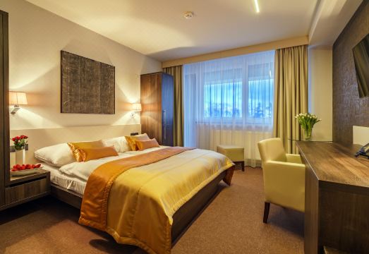 스파 및 웰니스 시설