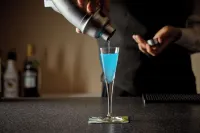 Hotel Continental Fuchu