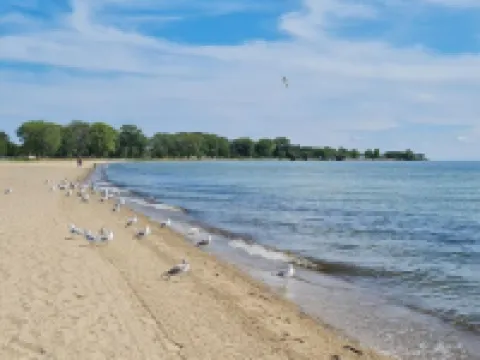 Hampton House Hotels in Mount Clemens