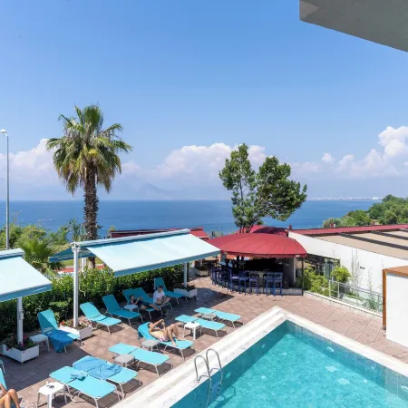 Tema 242 Hotel