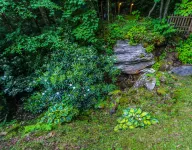 Smoketree Lodge Hotel a Watauga