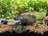 Villa Mirella Beach Hotels in Fermo