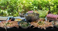 Villa Mirella Beach Hotels in Monterubbiano