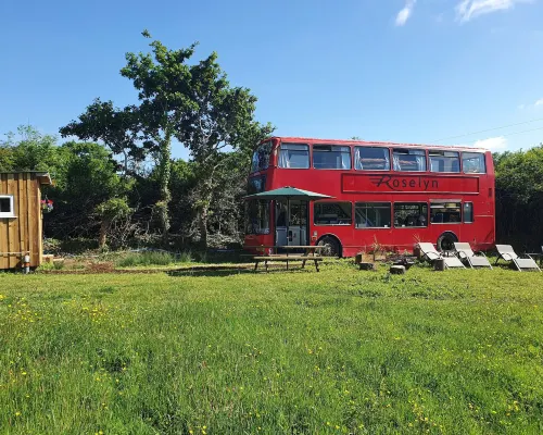 Double Decker Bus on an Alpaca Farm Sleeps 8 Hotels in Bovey Tracey