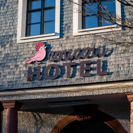 Coucou Hotel & Kuckucks-Stube (Titisee) Отели в г. Титизее-Нойштадт