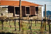 Casa do Santo - Wine & Tourism Hotels near Douro Valley