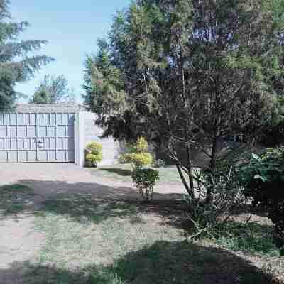 Naivasha Homestay Hotel Exterior