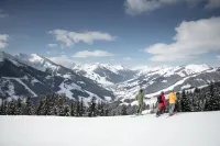 Chalet Tannenbaum - Chalets
