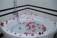 Van Kim Long Hotels in Sa dec