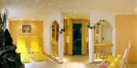 加爾尼阿爾彭赫茲酒店 - SPA