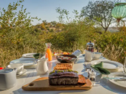 Mbizi Bush Lodge Hotels in Phalaborwa